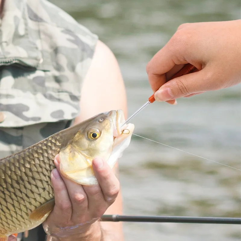 10 stuks veiligheidsvishaaktre - Fishing Hook Remover recensie en prijs